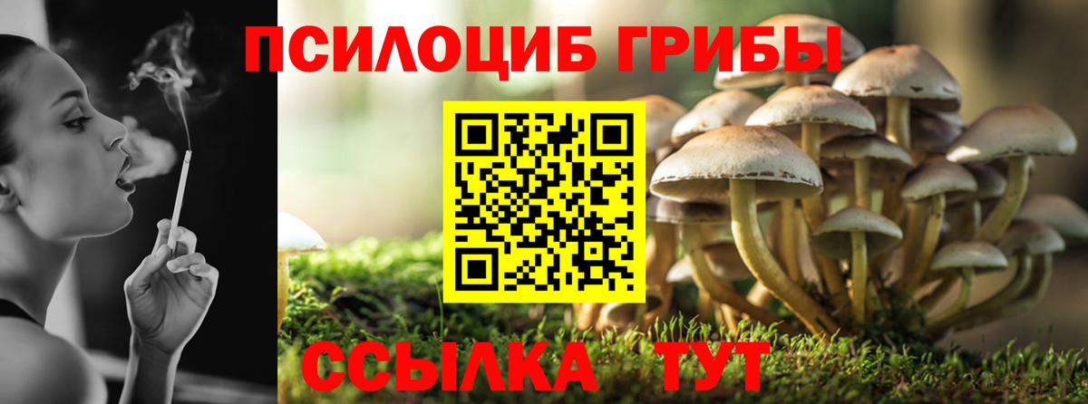 Галлюциногенные грибы прущие грибы  купить наркоту  Янаул  Вход с VPN 